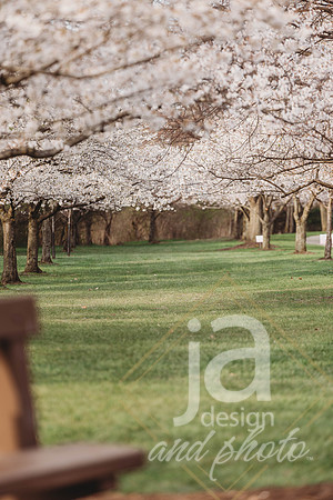 LisEngagement25@jadesignandphotollc14