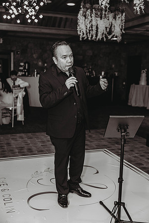LisWedding_Reception@jadesignandphotollc158