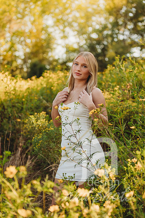 EllaDosztalSr26@jadesignandphotollc22