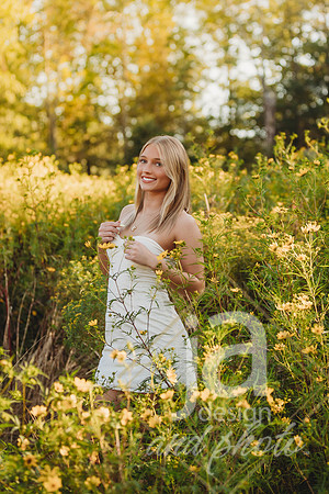 EllaDosztalSr26@jadesignandphotollc24