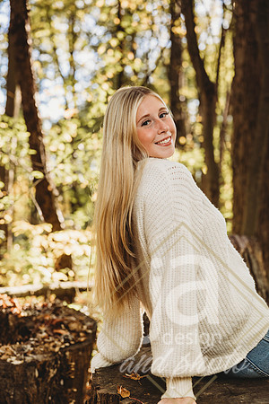 MadisonMagoSr26@jadesignandphotollc25