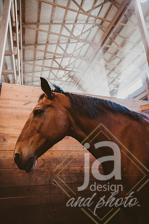 ChloeWsr26@jadesignandphotollc36