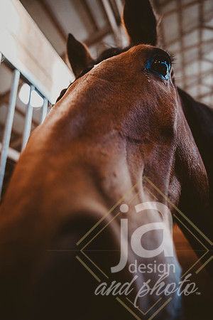ChloeWsr26@jadesignandphotollc41
