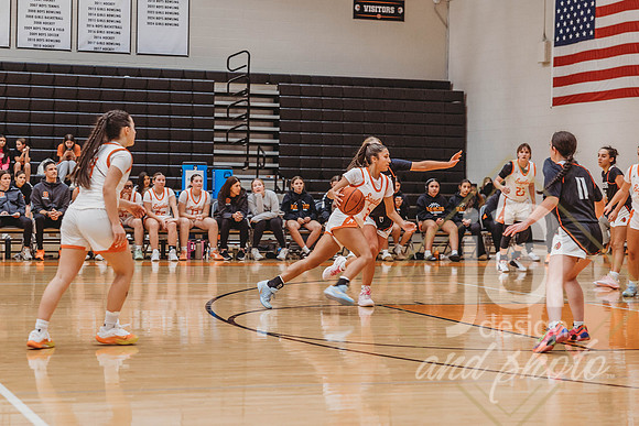 NOHSBasketball_vsBrookside@jadesignandphotollc278