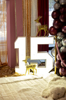 AlexisCQuincenera26@jadesignandphotollc17