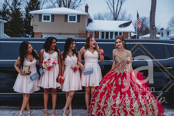 AlexisCQuincenera26@jadesignandphotollc166