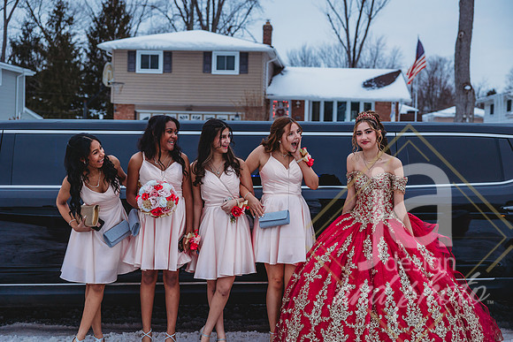 AlexisCQuincenera26@jadesignandphotollc167