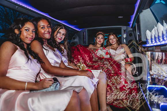 AlexisCQuincenera26@jadesignandphotollc171