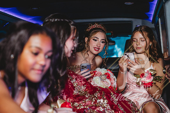 AlexisCQuincenera26@jadesignandphotollc174