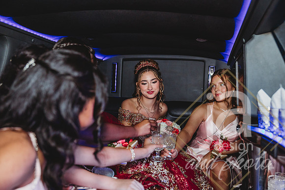 AlexisCQuincenera26@jadesignandphotollc177
