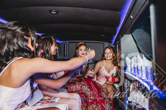 AlexisCQuincenera26@jadesignandphotollc179