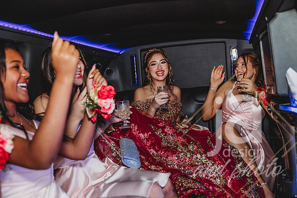 AlexisCQuincenera26@jadesignandphotollc188