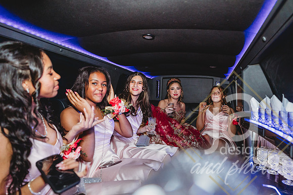 AlexisCQuincenera26@jadesignandphotollc192