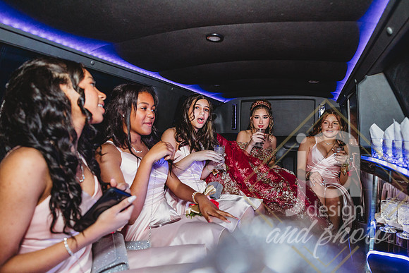 AlexisCQuincenera26@jadesignandphotollc193