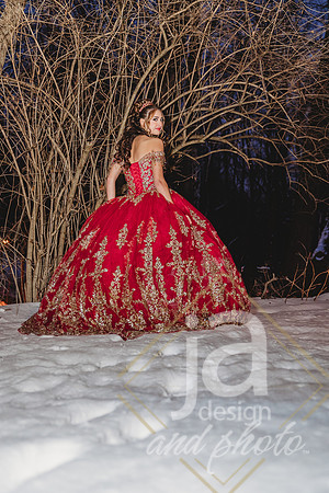 AlexisCQuincenera26@jadesignandphotollc308