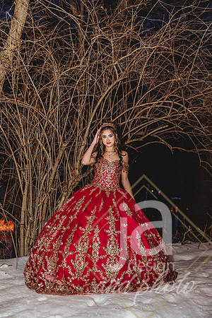 AlexisCQuincenera26@jadesignandphotollc309