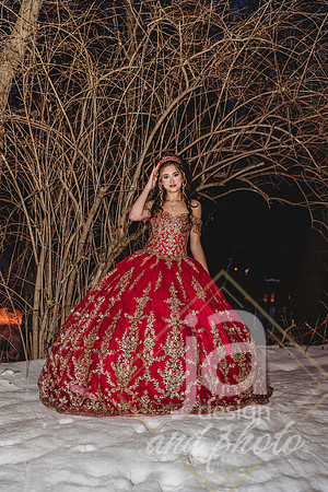 AlexisCQuincenera26@jadesignandphotollc310