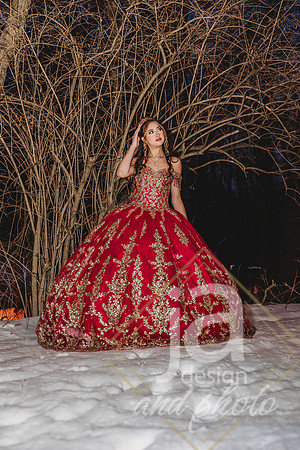 AlexisCQuincenera26@jadesignandphotollc311