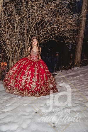 AlexisCQuincenera26@jadesignandphotollc312