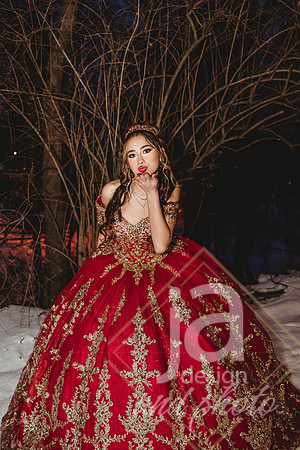 AlexisCQuincenera26@jadesignandphotollc314