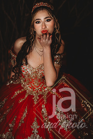 AlexisCQuincenera26@jadesignandphotollc317