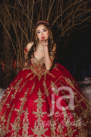AlexisCQuincenera26@jadesignandphotollc315