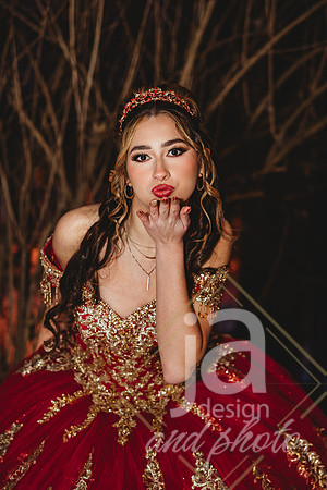 AlexisCQuincenera26@jadesignandphotollc316