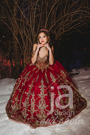 AlexisCQuincenera26@jadesignandphotollc318
