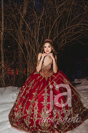 AlexisCQuincenera26@jadesignandphotollc319
