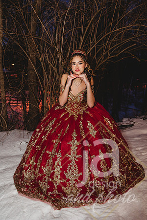AlexisCQuincenera26@jadesignandphotollc320