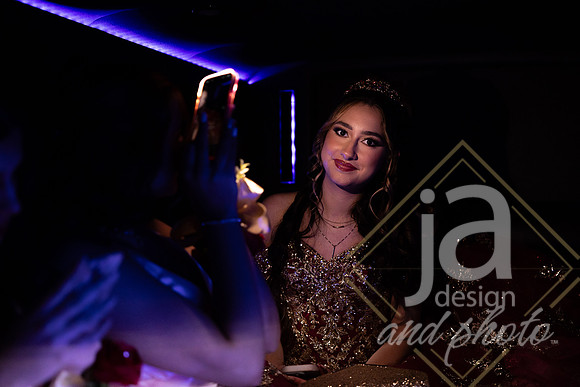 AlexisCQuincenera26@jadesignandphotollc354
