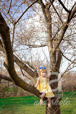 Galvanfam_springmini26@jadesignandphotollc44
