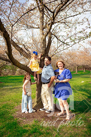 Galvanfam_springmini26@jadesignandphotollc48