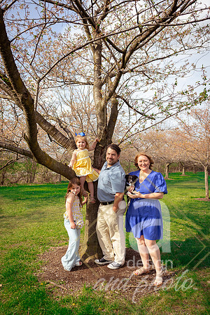 Galvanfam_springmini26@jadesignandphotollc50