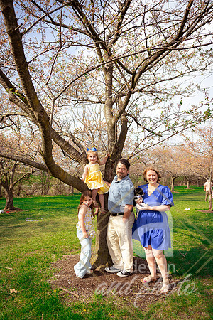 Galvanfam_springmini26@jadesignandphotollc49