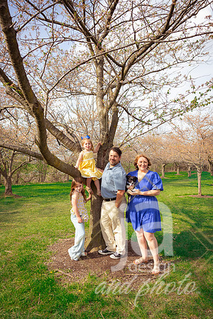 Galvanfam_springmini26@jadesignandphotollc52