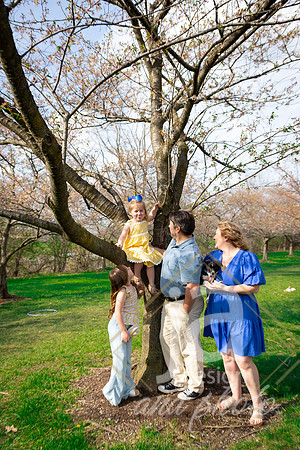 Galvanfam_springmini26@jadesignandphotollc54
