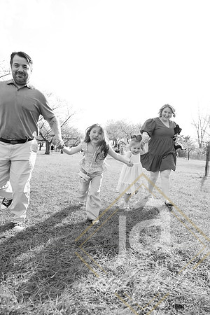 Galvanfam_springmini26@jadesignandphotollc68