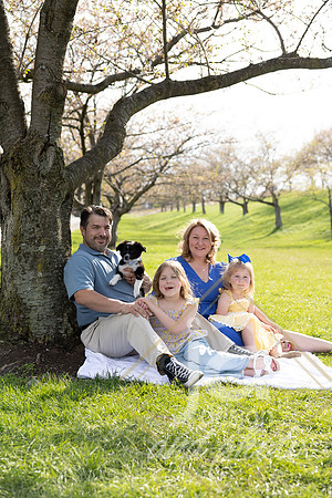 Galvanfam_springmini26@jadesignandphotollc73