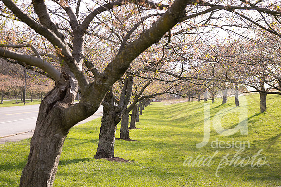 Galvanfam_springmini26@jadesignandphotollc78