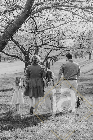 Galvanfam_springmini26@jadesignandphotollc79