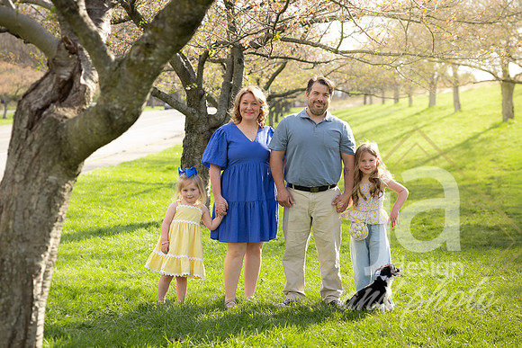 Galvanfam_springmini26@jadesignandphotollc81