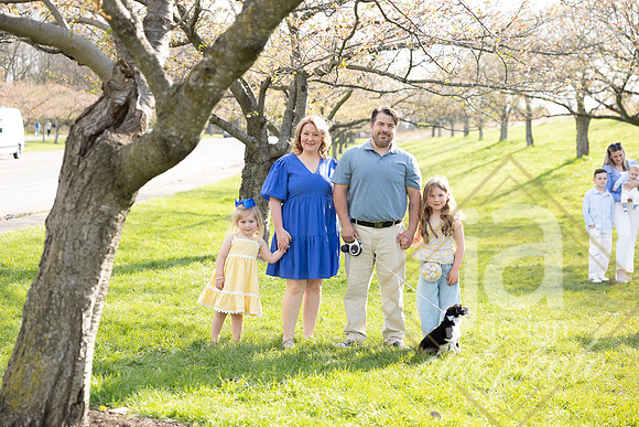 Galvanfam_springmini26@jadesignandphotollc80