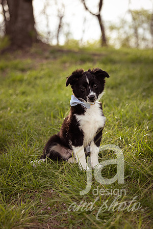 Galvanfam_springmini26@jadesignandphotollc97