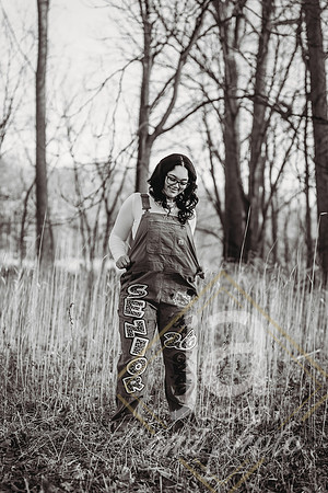 AniyaScottsr26@jadesignandphotollc7