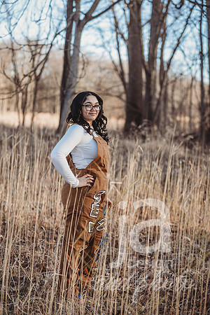 AniyaScottsr26@jadesignandphotollc20