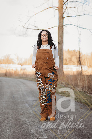 AniyaScottsr26@jadesignandphotollc30