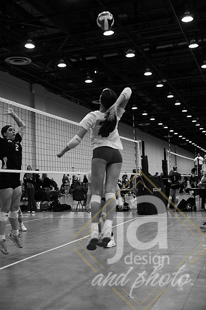 bosscle15uDetroit@jadesignandphotollc110