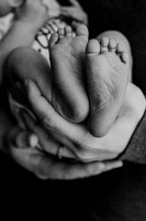 Boyer Newborn Proofs