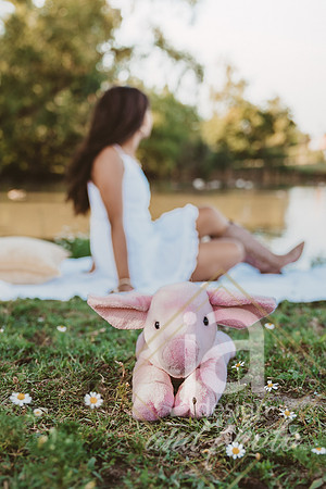 Izabelsr26@jadesignandphoto-52
